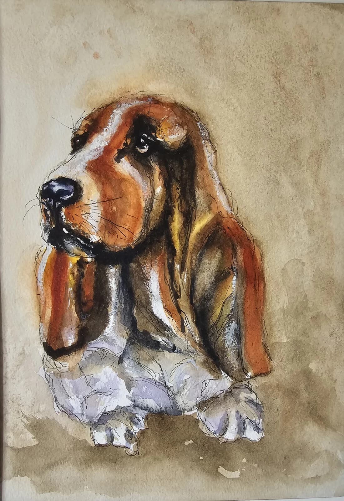 Bassett Hound Puppy Watercolour Contemporary Framed