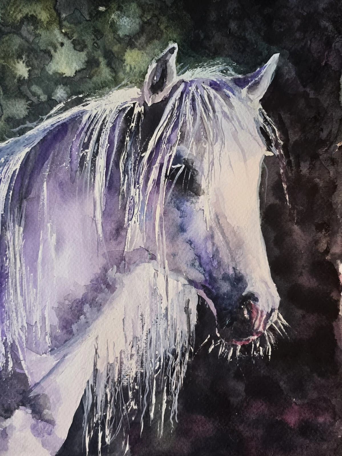 Watercolour Painting Grey White Pony Horse Head Sunlit Framed