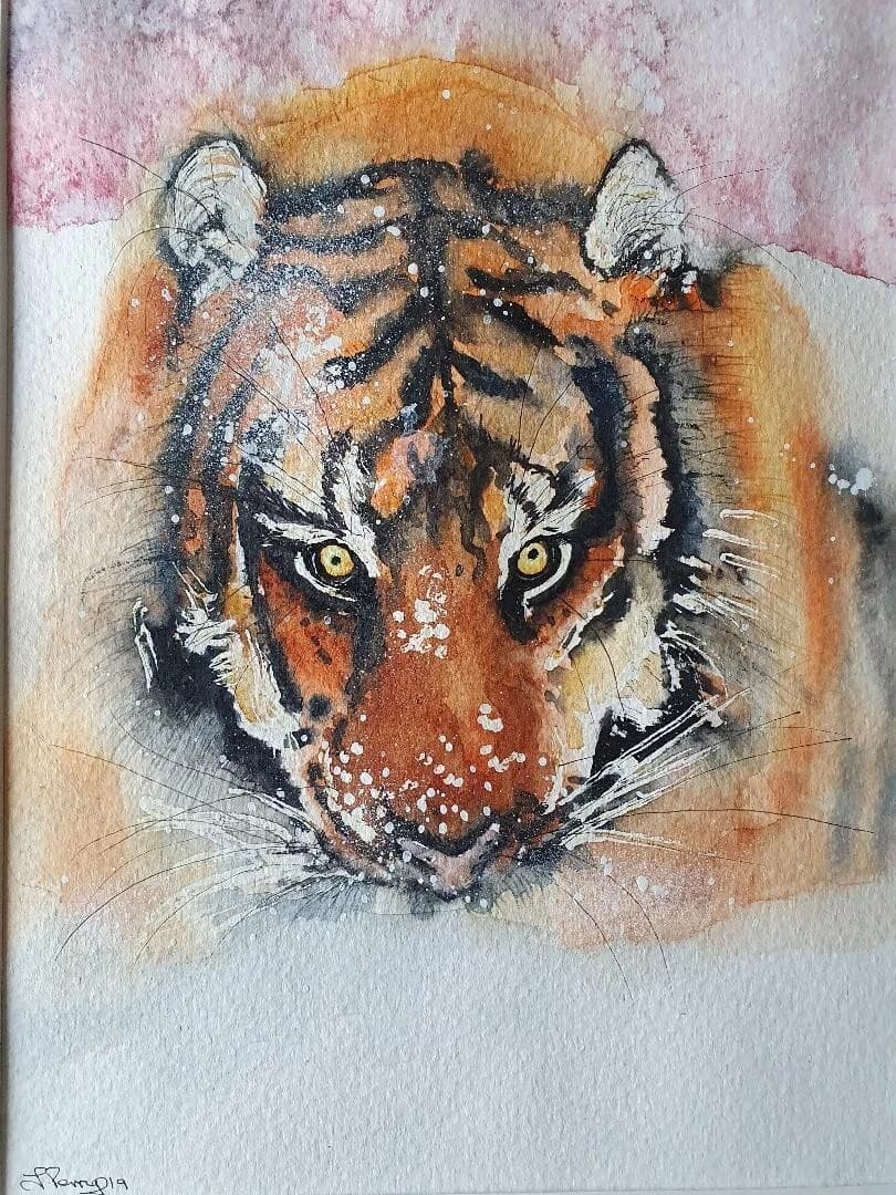 Watercolour Painting Siberian Tiger Snow Framed
